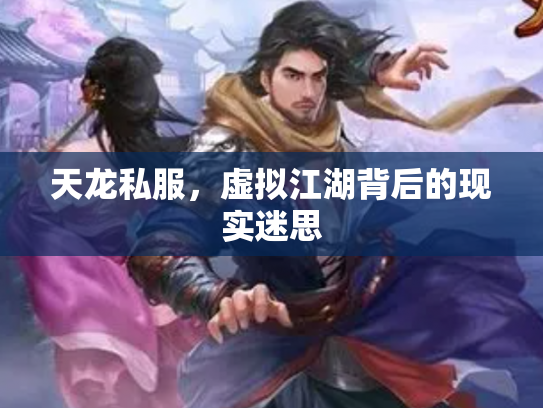 天龙私服，虚拟江湖背后的现实迷思