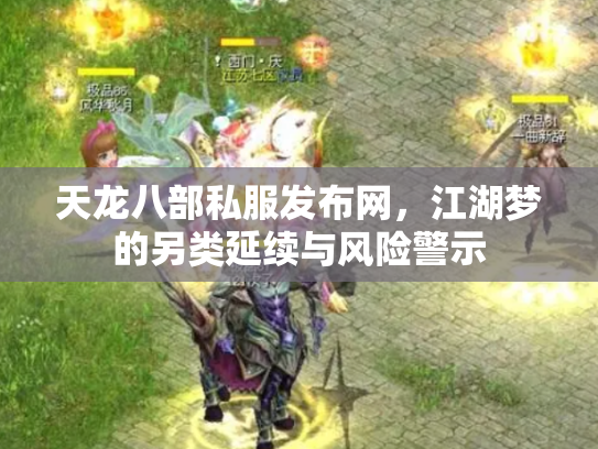 天龙八部私服发布网，江湖梦的另类延续与风险警示