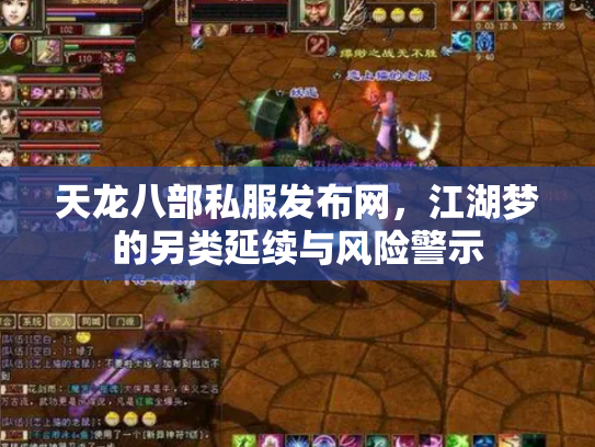 天龙八部私服发布网，江湖梦的另类延续与风险警示