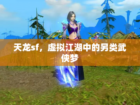 天龙sf，虚拟江湖中的另类武侠梦