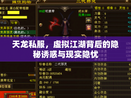 天龙私服，虚拟江湖背后的隐秘诱惑与现实隐忧