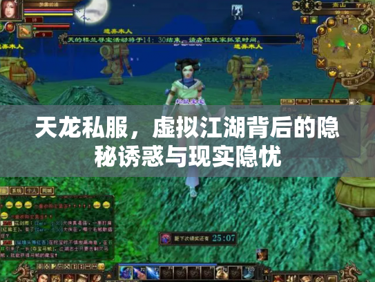 天龙私服，虚拟江湖背后的隐秘诱惑与现实隐忧