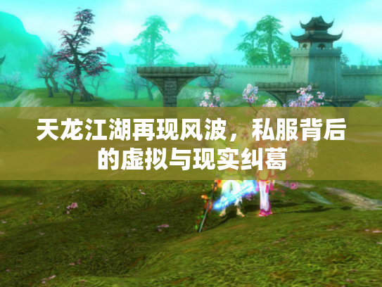 天龙江湖再现风波，私服背后的虚拟与现实纠葛
