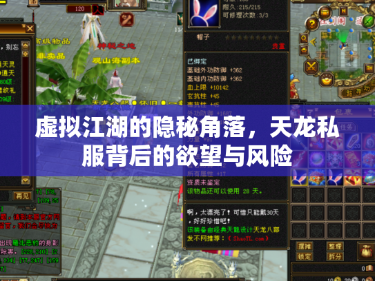 虚拟江湖的隐秘角落，天龙私服背后的欲望与风险