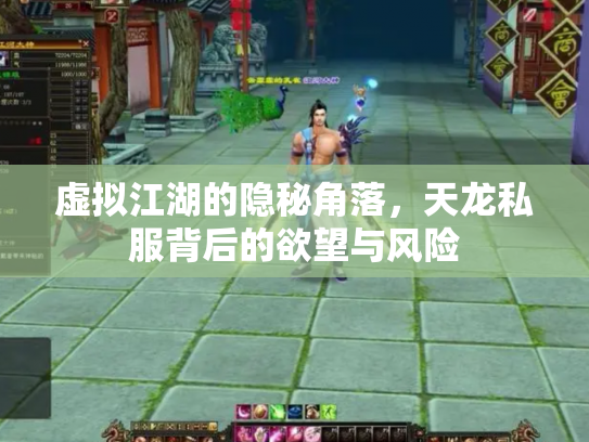 虚拟江湖的隐秘角落，天龙私服背后的欲望与风险