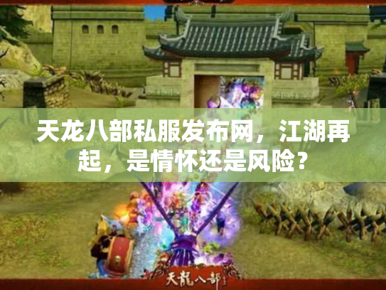 天龙八部私服发布网，江湖再起，是情怀还是风险？