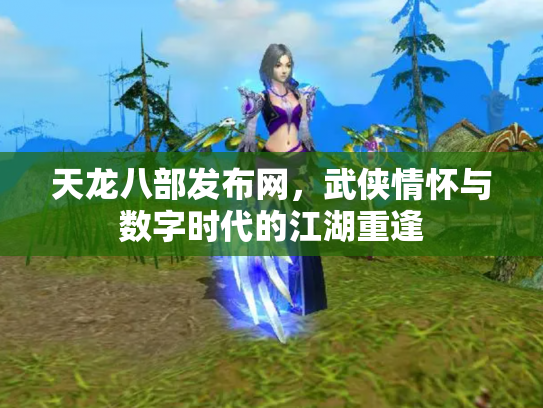 天龙八部发布网，武侠情怀与数字时代的江湖重逢