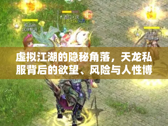 虚拟江湖的隐秘角落，天龙私服背后的欲望、风险与人性博弈