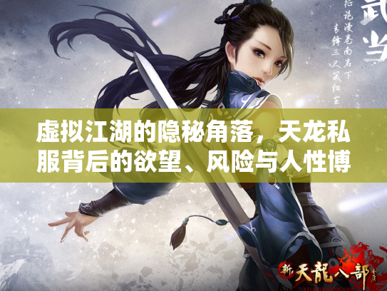 虚拟江湖的隐秘角落，天龙私服背后的欲望、风险与人性博弈