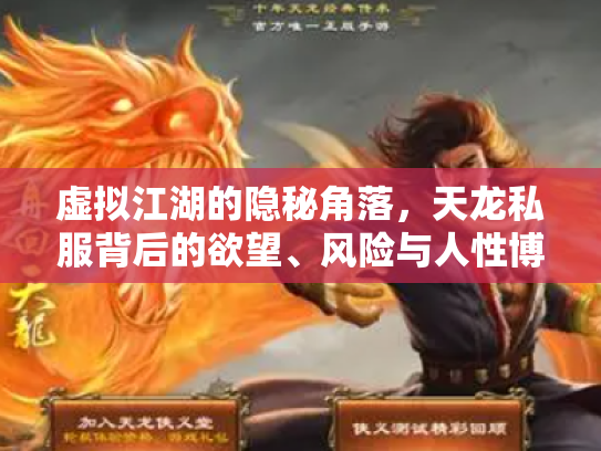 虚拟江湖的隐秘角落，天龙私服背后的欲望、风险与人性博弈