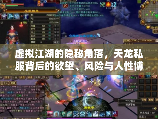 虚拟江湖的隐秘角落，天龙私服背后的欲望、风险与人性博弈