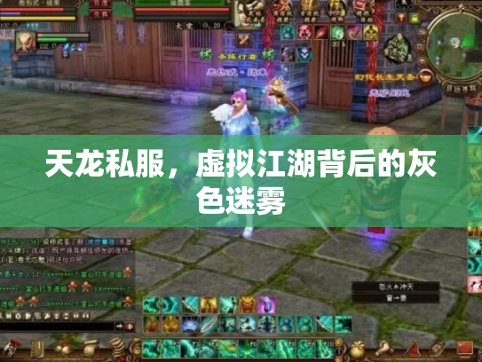 天龙私服，虚拟江湖背后的灰色迷雾
