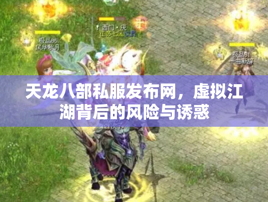 天龙八部私服发布网，虚拟江湖背后的风险与诱惑