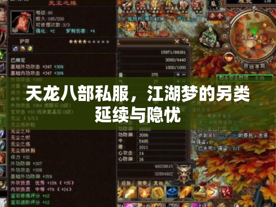 天龙八部私服，江湖梦的另类延续与隐忧