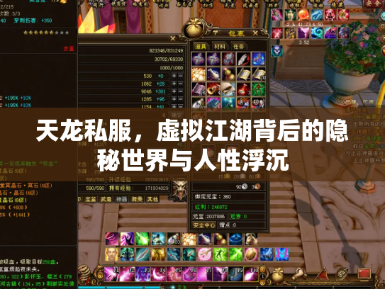 天龙私服，虚拟江湖背后的隐秘世界与人性浮沉