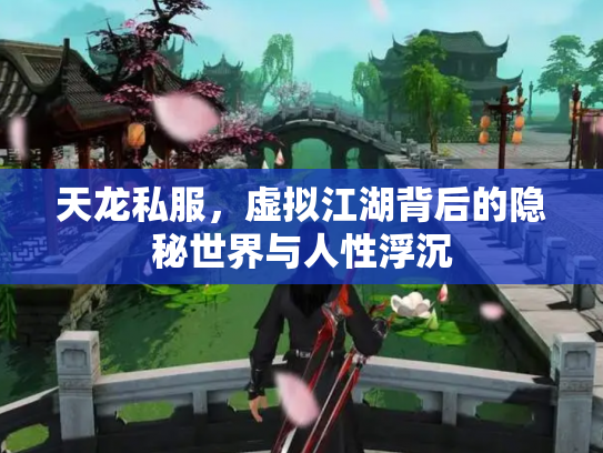 天龙私服，虚拟江湖背后的隐秘世界与人性浮沉