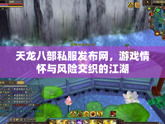 天龙八部私服发布网，游戏情怀与风险交织的江湖