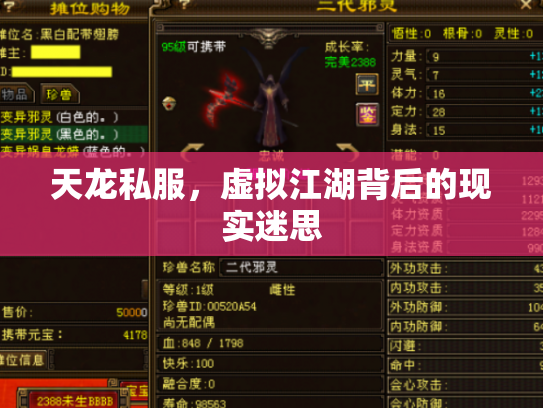 天龙私服，虚拟江湖背后的现实迷思