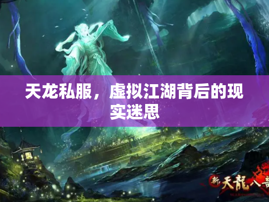 天龙私服，虚拟江湖背后的现实迷思