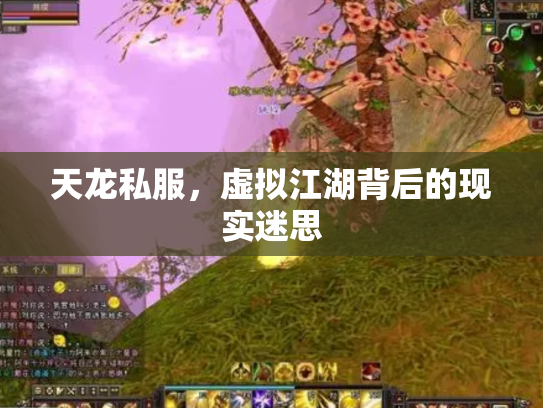 天龙私服，虚拟江湖背后的现实迷思