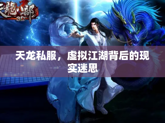 天龙私服，虚拟江湖背后的现实迷思