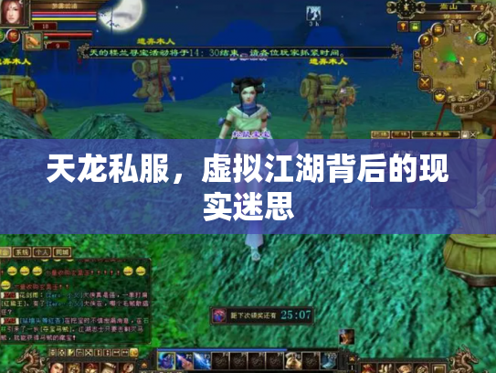 天龙私服，虚拟江湖背后的现实迷思