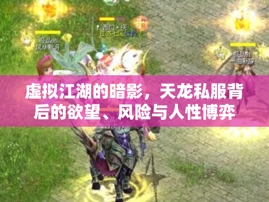 虚拟江湖的暗影，天龙私服背后的欲望、风险与人性博弈