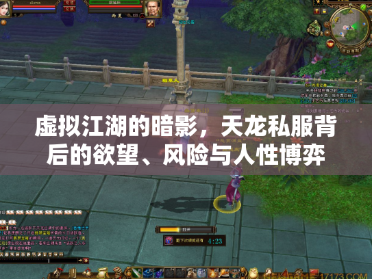 虚拟江湖的暗影，天龙私服背后的欲望、风险与人性博弈