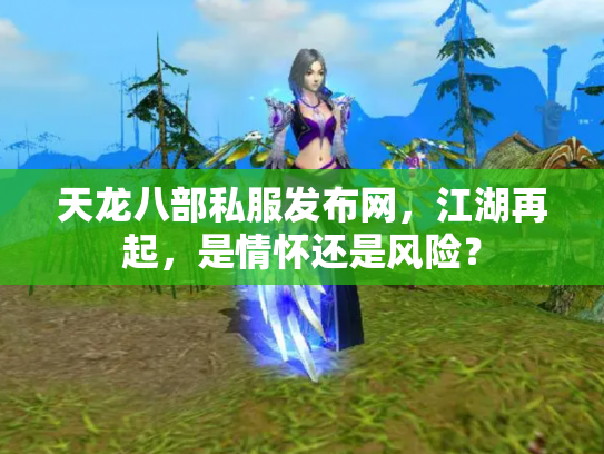天龙八部私服发布网，江湖再起，是情怀还是风险？