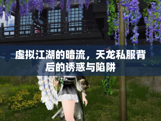 虚拟江湖的暗流，天龙私服背后的诱惑与陷阱