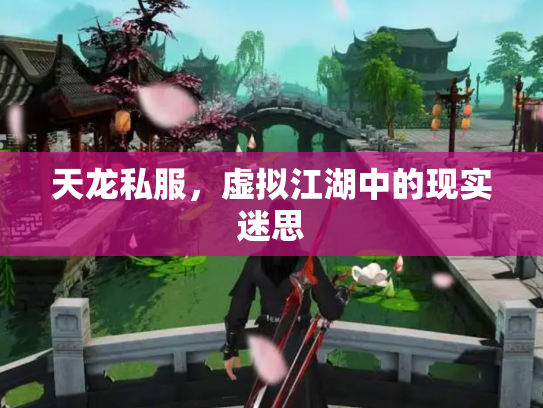 天龙私服，虚拟江湖中的现实迷思