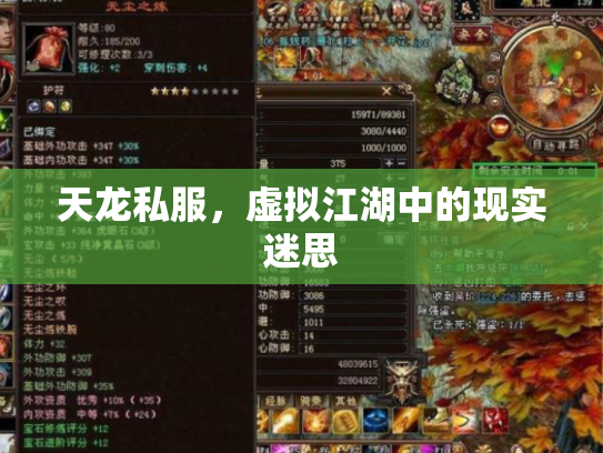 天龙私服，虚拟江湖中的现实迷思