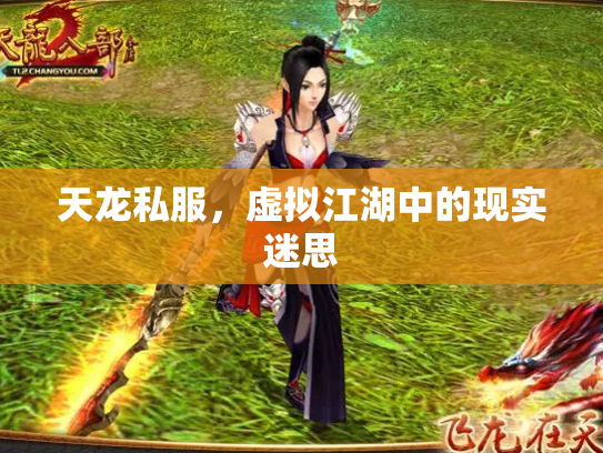 天龙私服，虚拟江湖中的现实迷思