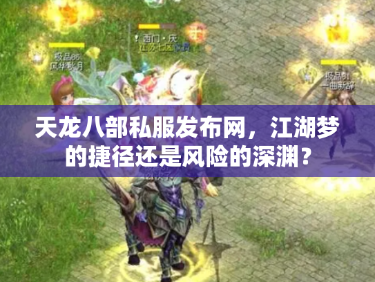 天龙八部私服发布网，江湖梦的捷径还是风险的深渊？