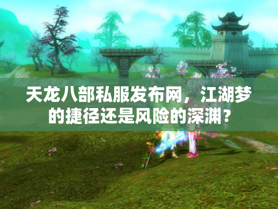 天龙八部私服发布网，江湖梦的捷径还是风险的深渊？