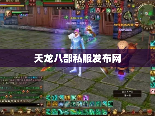 天龙八部私服发布网