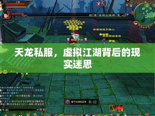 天龙私服，虚拟江湖背后的现实迷思