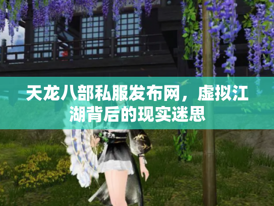 天龙八部私服发布网，虚拟江湖背后的现实迷思
