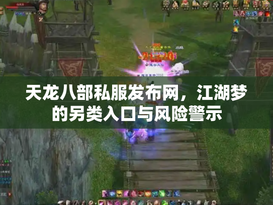 天龙八部私服发布网，江湖梦的另类入口与风险警示