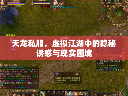 天龙私服，虚拟江湖中的隐秘诱惑与现实困境