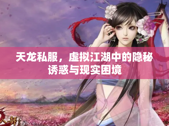 天龙私服，虚拟江湖中的隐秘诱惑与现实困境