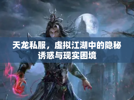 天龙私服，虚拟江湖中的隐秘诱惑与现实困境