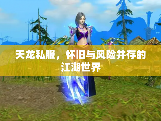 天龙私服，怀旧与风险并存的江湖世界
