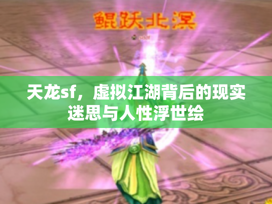 天龙sf，虚拟江湖背后的现实迷思与人性浮世绘