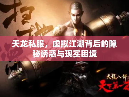 天龙私服，虚拟江湖背后的隐秘诱惑与现实困境