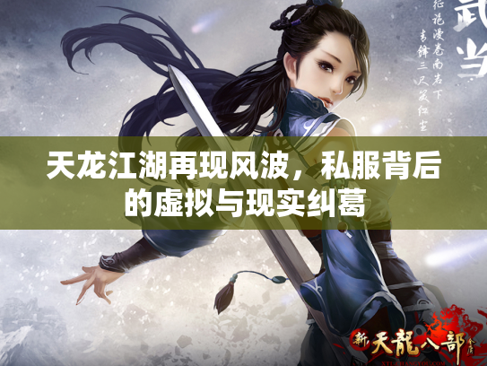 天龙江湖再现风波，私服背后的虚拟与现实纠葛