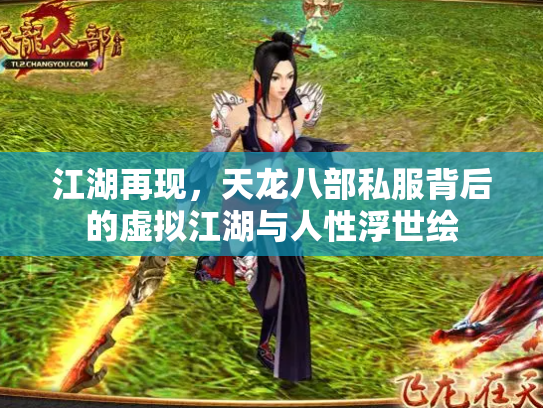 江湖再现，天龙八部私服背后的虚拟江湖与人性浮世绘