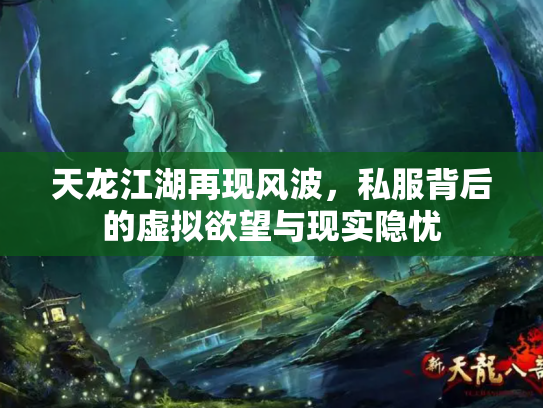 天龙江湖再现风波，私服背后的虚拟欲望与现实隐忧