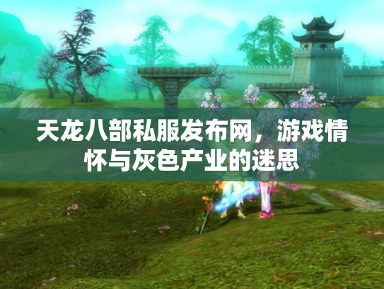 天龙八部私服发布网，游戏情怀与灰色产业的迷思
