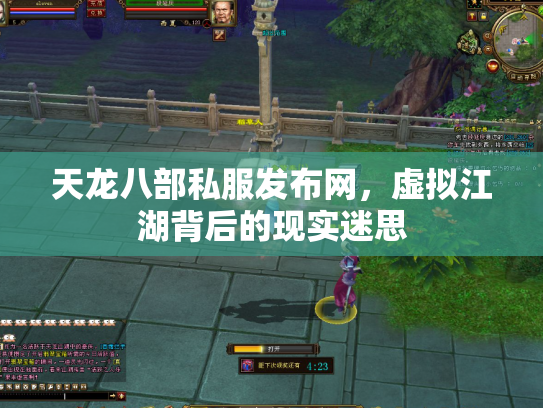 天龙八部私服发布网，虚拟江湖背后的现实迷思